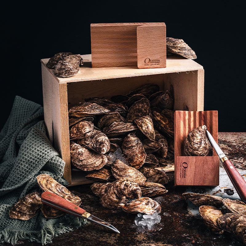 Puleyun Pince à écaillage d'huîtres, porte-huîtres en bois, protège-main en  bois pour écaillage d'huîtres