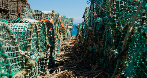 La pêche au homard des Iles-de-la-Madeleine