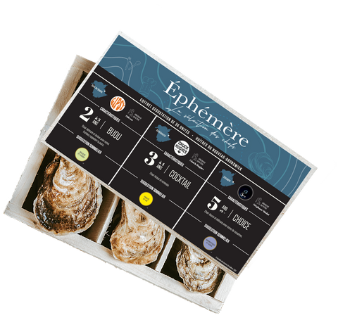 Ephemeral oyster tasting (36un)